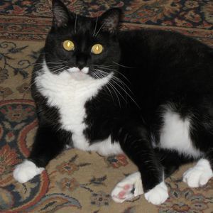 Meet your Posher, Debbie